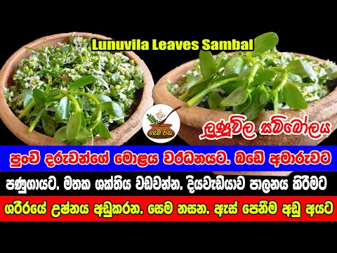 ලුණුවිල දළු සම්බෝලය දරුවන්ට ඉතාම ගුණදායක Lunuwila leaves are very beneficial for children