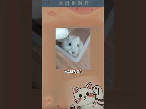 올리비아진 392 - 탈출한 햄스터