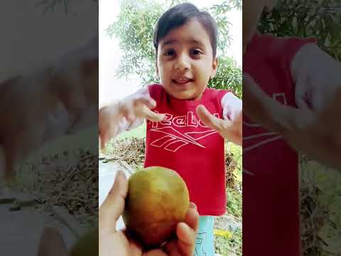 রাজাবাবুর মজার মজার চমৎকার বাংলা ফানি ভিডিও 😄😄😃😃😃#shortvideos 😂😂😂😂😂#funnyvideo