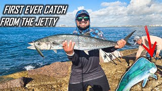 KINGFISH & Mahi Mahi Chaos at The Jetty! (BIG Bites+ Drag Screaming)