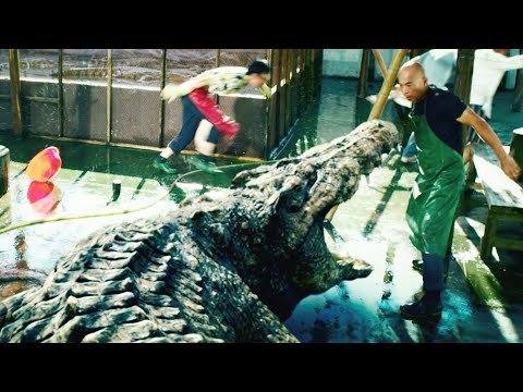 Crocodile breaks into home.