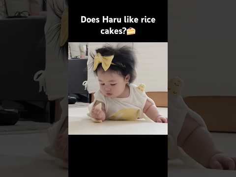 Does Haru like rice cakes?🍰 #cute #adorably #funnybaby #haru #returnofsuperman