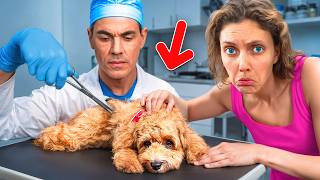 Something’s WRONG with MY DOG...WILL HE BE OKAY
