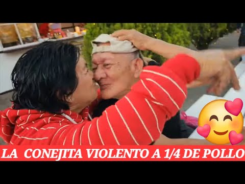 POR FIN NACIO EL AMOR 💘 ENTRE LA CONEJITA Y 1/4 DE POLLO