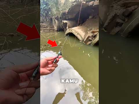 pria ini akan membuatmu kaget😁 #mancing #sungai #takterduga #shorts #untukmu