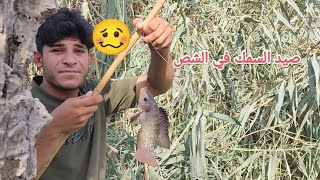 صيد السمك في الشص🎣 مع ايمن 🥴