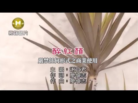 謝宜君-醉紅顏【KTV導唱字幕】