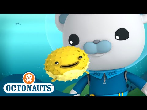 Octonauts - Porcupine Puffer & The Scared Sperm Whale | Cartoons for Kids | Underwater Sea Education