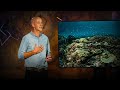 Marine Conservation and Overfishing