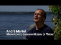 Mollusks and Exotic Species Impact
