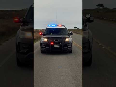He was more confused than anything ๐ awesome cop though