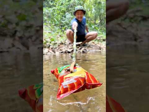 Water Hack Tips for Survival in the Forest!