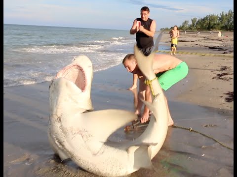 Best Fishing Fails 2015: Close Calls w: Sharks!