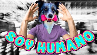 24 HORAS SIENDO HUMANO!!! 🕺🐶🕺🐶