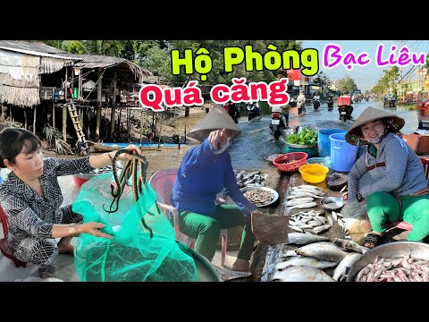 Về Bạc Liêu đi chợ Hộ Phòng Giá Rai - bị dọa đá vào trong mặt