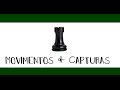 Understanding the Rook's Movement in Chess