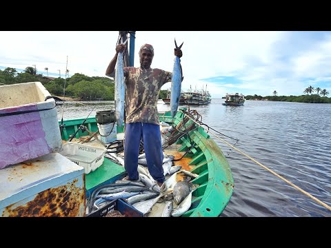 PESCARIA COM ISCA VIVA NO MAR ! FUI VER A VIDA DE UM PESCADOR COMO É