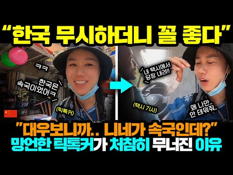 중국반응ㅣ속국 드립쳤다가 X 처럼 무너진 중국 틱톡커;;