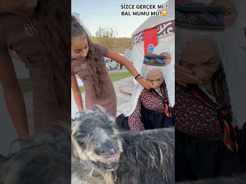 SİZCE GERÇEK Mİ ? BAL MUMU MU?😉