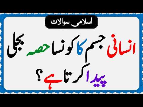 Islamic Common Sense Paheliyan in Urdu | Riddles in Hindi | Islamic General Knowledge Quiz Test #046