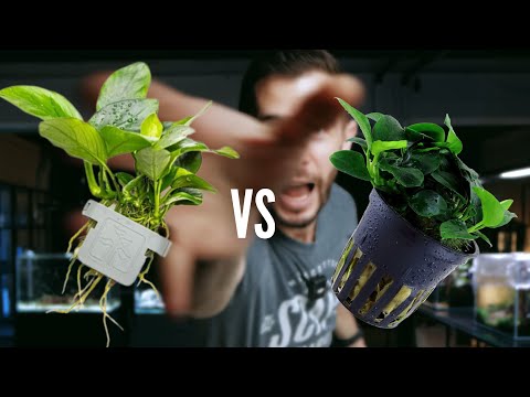 Tropica Pots vs Clips : Which one is better?