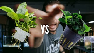Tropica Pots vs Clips : Which one is better?