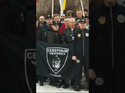 Крик души