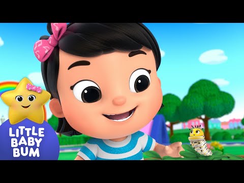 Canción de la oruga 🐛🦋| Canciones Infantiles🎵| Caricaturas para bebés | Little Baby Bum