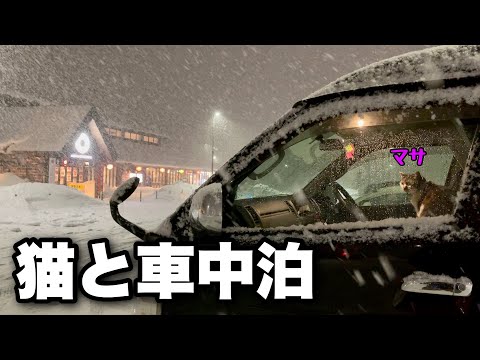【猫と冬の車中泊】冬には積雪５ｍ！豪雪の月山道路を越えて米沢へ｜FFヒーターで冬でも暖かい快適な車内で猫とごはん