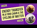 Ecosystem Energy and Matter Dynamics