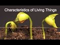 Exploring the Traits of Living Organisms