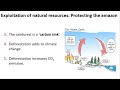 Sustainability and the Amazon Rainforest