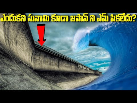 ఎందుకని సునామి కూడా జపాన్ ని ఎమ్ చేయలేదు? | How This Wall Will Protect Japan From Tsunami | Telugu