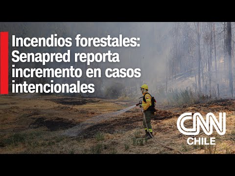 Incendios Forestales: Senapred advierte aumento de casos intencionales