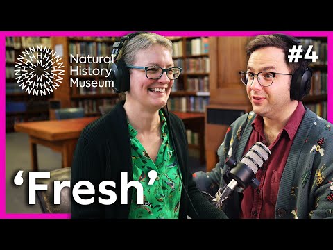 Mistaking a marine reptile for a communist | The 'Perfect' Specimen Ep4