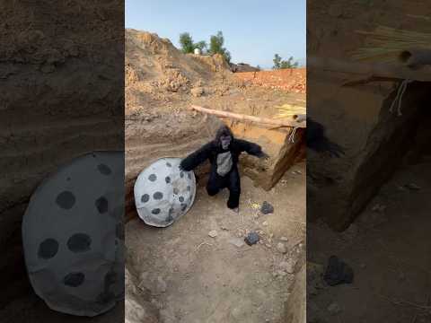 El gorila encerró a los niños en un agujero