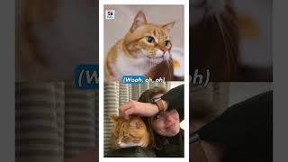 Hill’s = Love (songs)