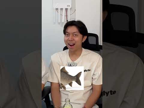 ทายสัตว์จากภาพ ถูกหมดได้ 30000 #aumccp #shortvideo