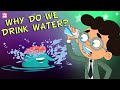 Understanding Thirst and Hydration