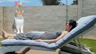 Thật Toẹt Vời Khi Có Một Người Bạn Đồng Hành Bênh Cạnh Lúc Mang Bầu Như Cám