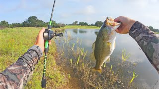 Untapped Farm Pond Bass Destroying a Frog!