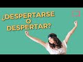 Mastering Spanish Reflexive Verbs