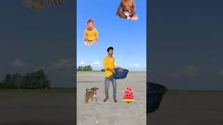 Eating laddu, jalebi, pizza, burger vs insects, shikhar, bimal - Funny vfx magic video