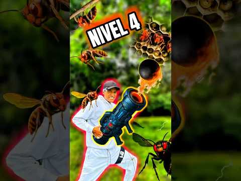 Tumba Avispas NIVEL (1/4) 🐝👆🏻