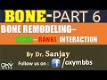 Bone Remodeling and Calcium Regulation