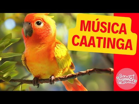 ANIMAIS DA CAATINGA - MÚSICA - CRIANÇAS INTELIGENTES - JP KIDS#criançasinteligentes #jpkids