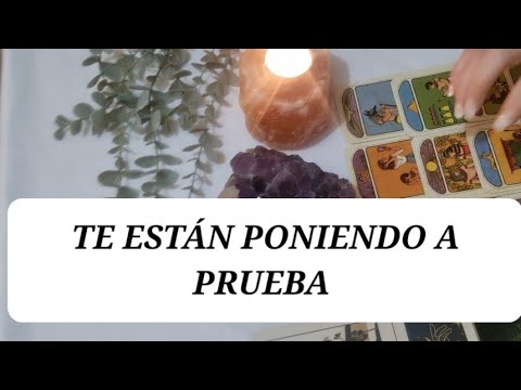 Cuidado!! Te están poniendo a prueba para esto...‼️ @NAYADESOLTAROTDESLEY