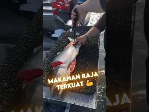 Inilah hidangan rahasia raja musim dingin paling kuat 💪, bikin kalian kaget