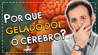 Por que o CÉREBRO DÓI quando TOMAMOS SORVETE? | Cortes do Manual do Mundo