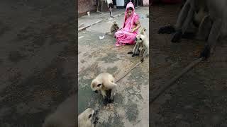 Duniya ki sabse pyari awaaz ❣️ #azan#mssforyou#islamicvideos#islamicstutus#shortsfeed#short